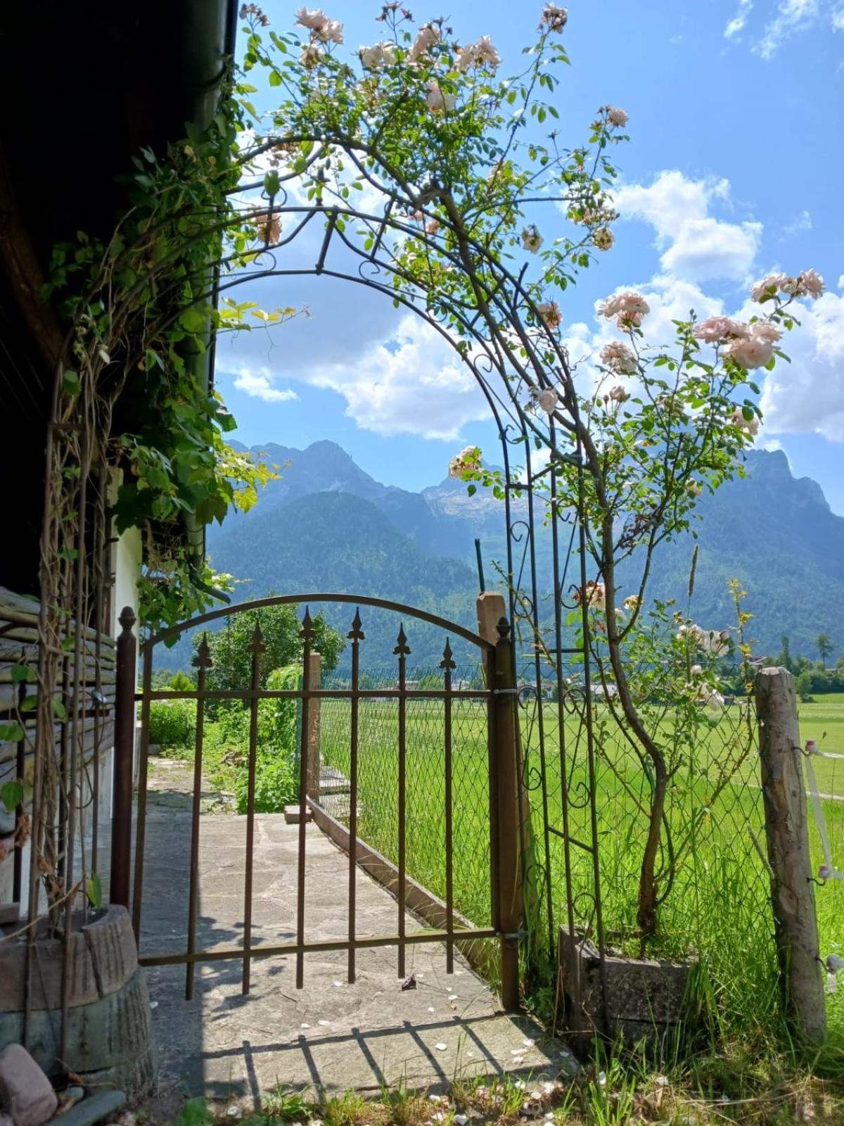 Chalet Scheffsnoth Lofer Exterior photo