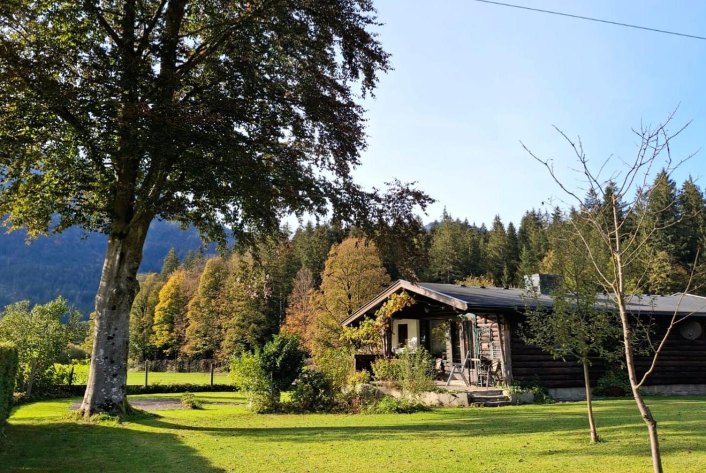 Chalet Scheffsnoth Lofer Exterior photo